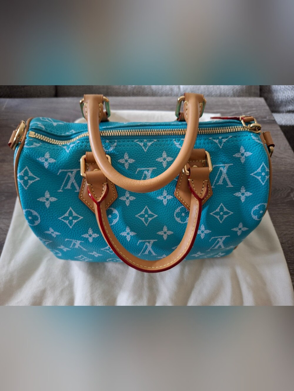 Turquoise Monogram Speedy 25 Luxury Handbag - Picture 2 of 15